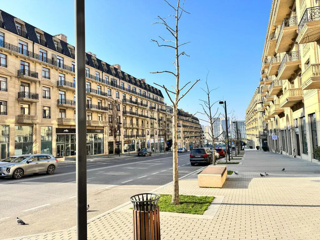 5 otaqlı 212 m² mənzil, Xətai rayonu, Bakı. Foto 1
