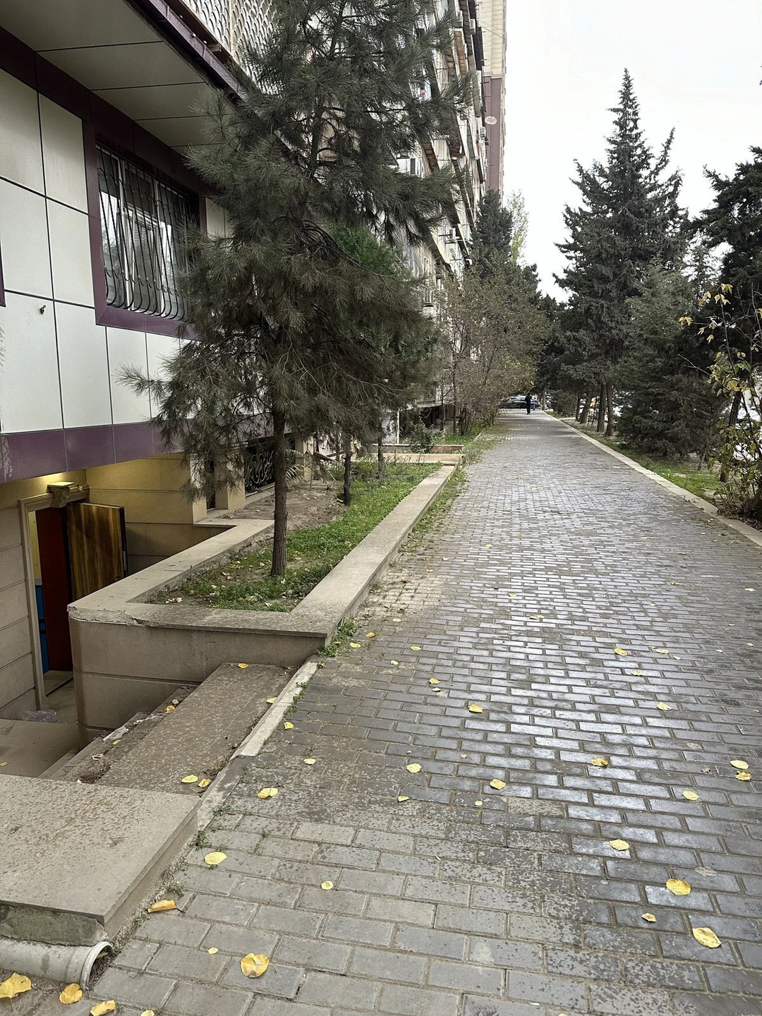 Kirayə 90 m² obyekt, Nərimanov rayonu, Bakı — Əliyar Əliyev küç.. Foto 1