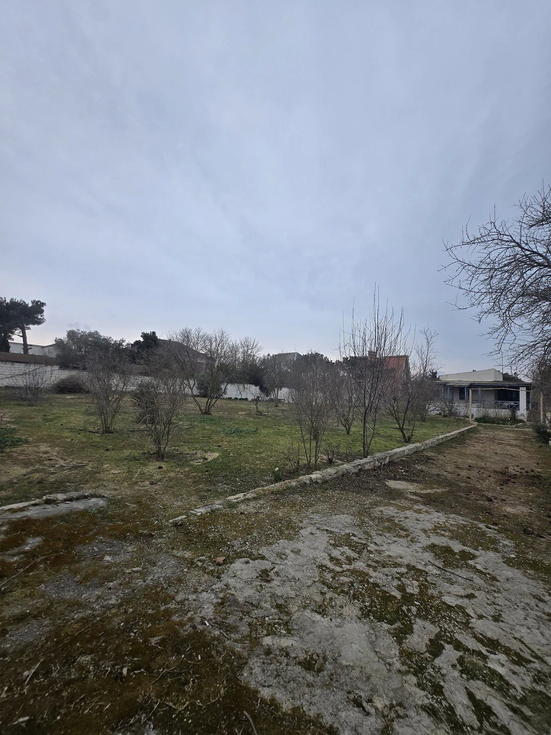 19,2 sot torpaq sahəsi, Sabunçu, Bakı. Foto 1