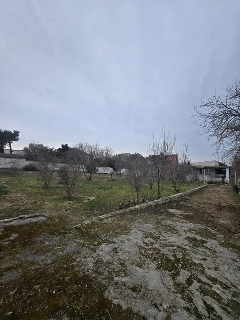 19,2 sot torpaq sahəsi