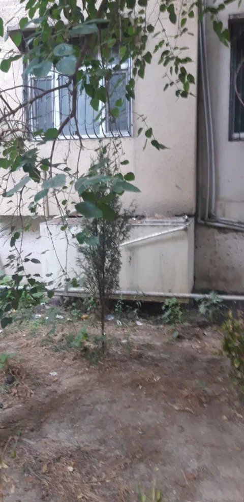 Satış: 2 otaqlı 45 m² mənzil