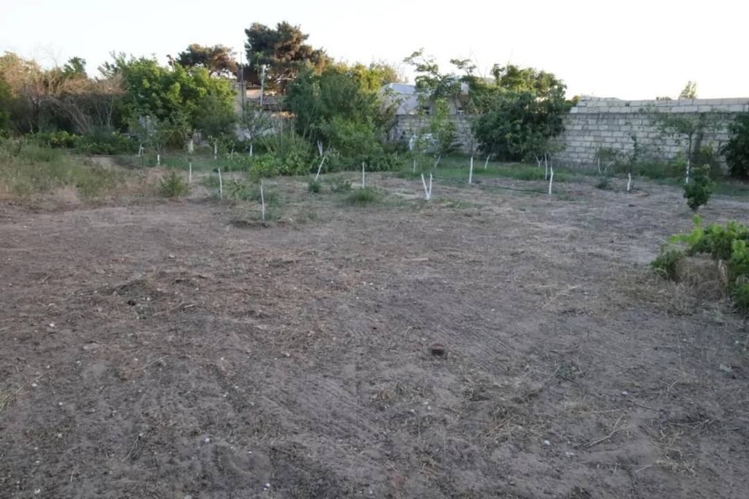 2 sot torpaq sahəsi, Sabunçu, Bakı. Foto 1